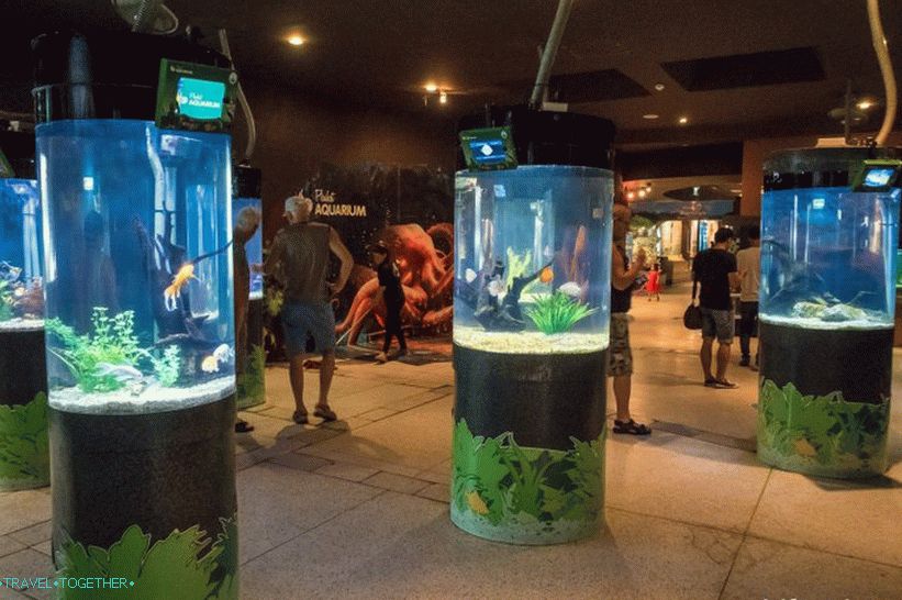 Phuket Oceanarium
