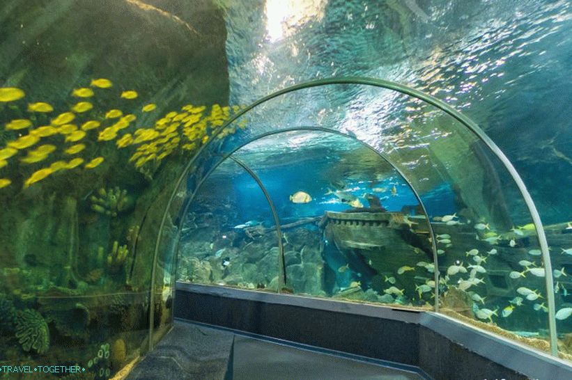 Oceanarium v   Adleru - překvapivě potěšení a šok