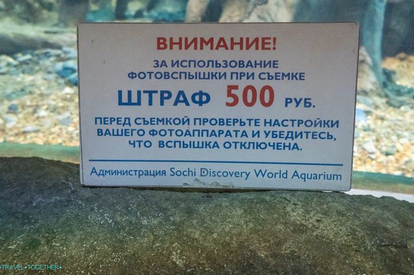 Oceanarium v   Adleru - překvapivě potěšení a šok