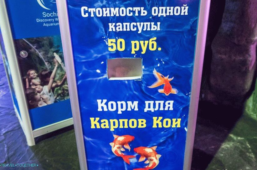 Oceanarium v   Adleru - překvapivě potěšení a šok