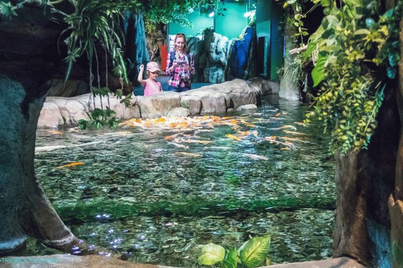 Oceanarium v   Adleru - překvapivě potěšení a šok