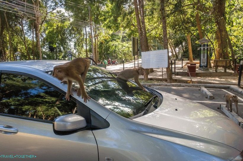 Obsazeno mé auto