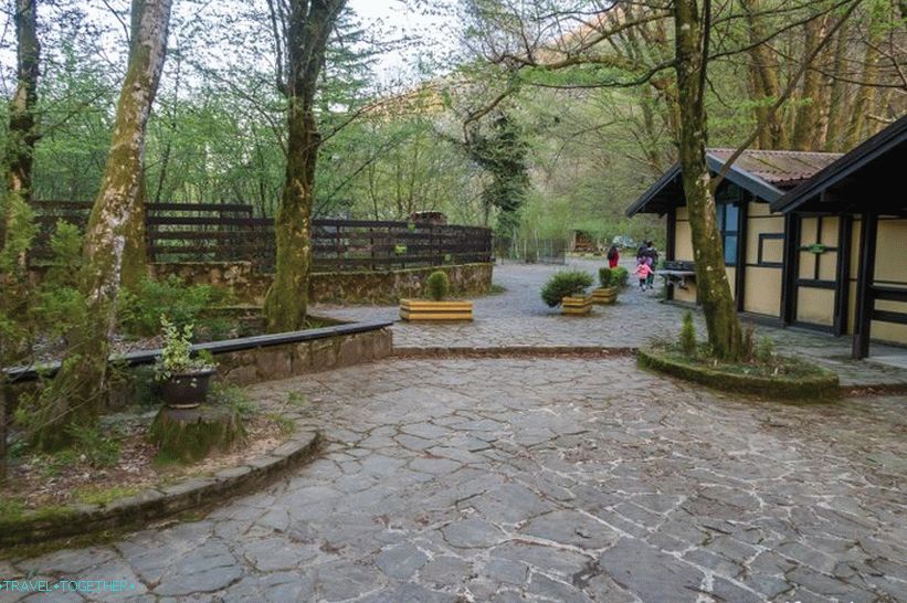 Orekhovsky vodopád v Soči - piknik v přírodě