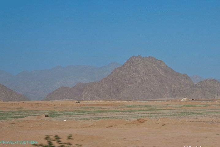 Egypt. Pevný písek.