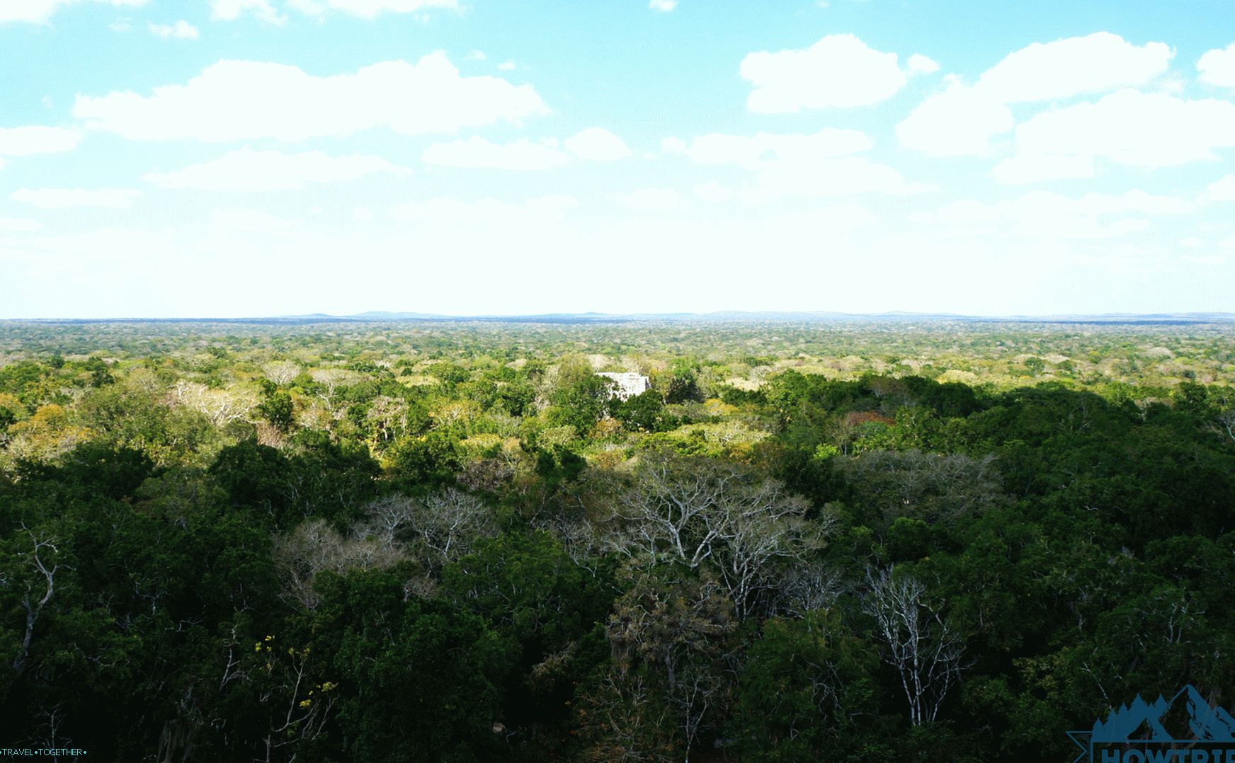 Pohled z mayské pyramidy v Calakmul