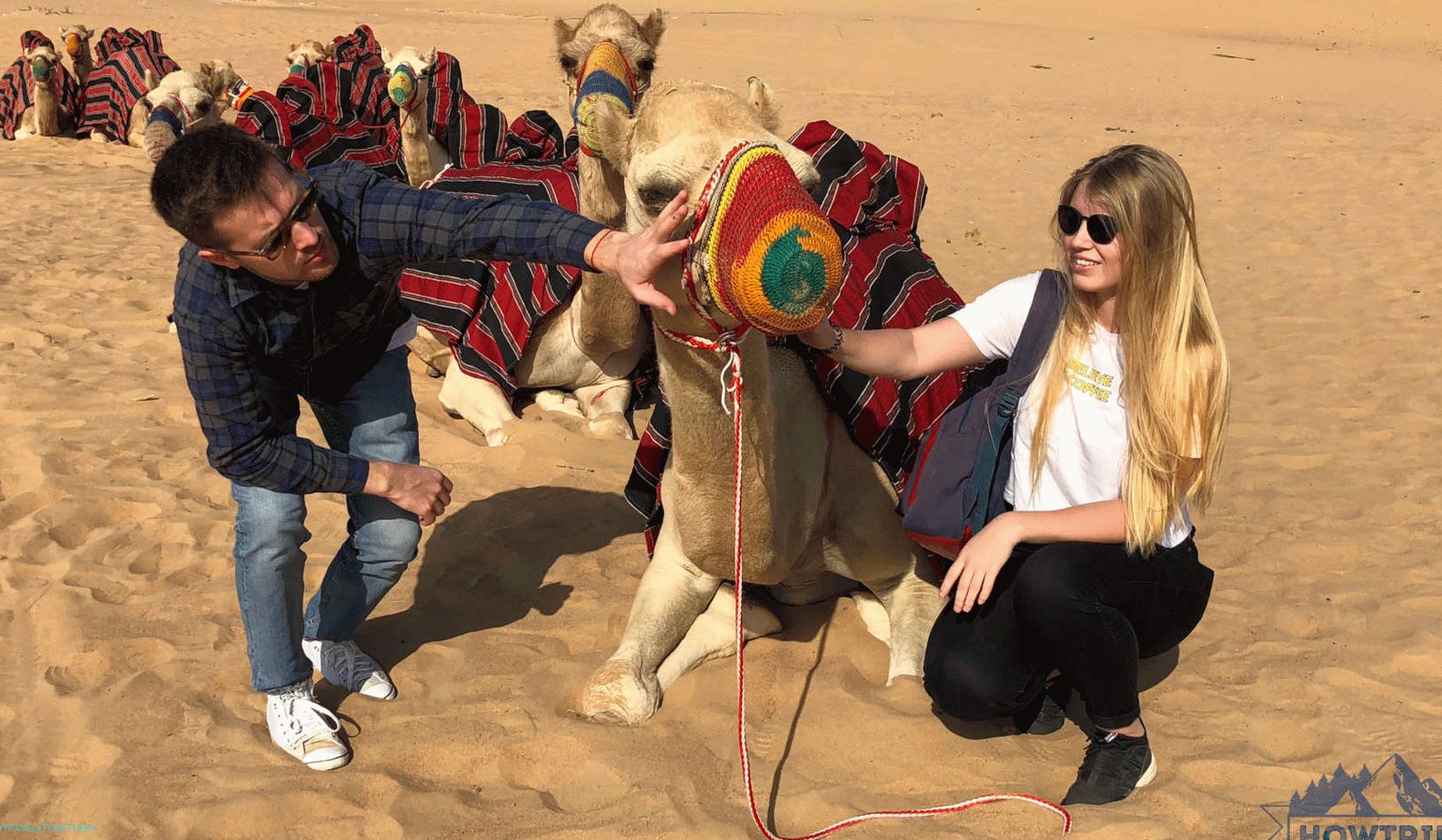Safari v Dubaji