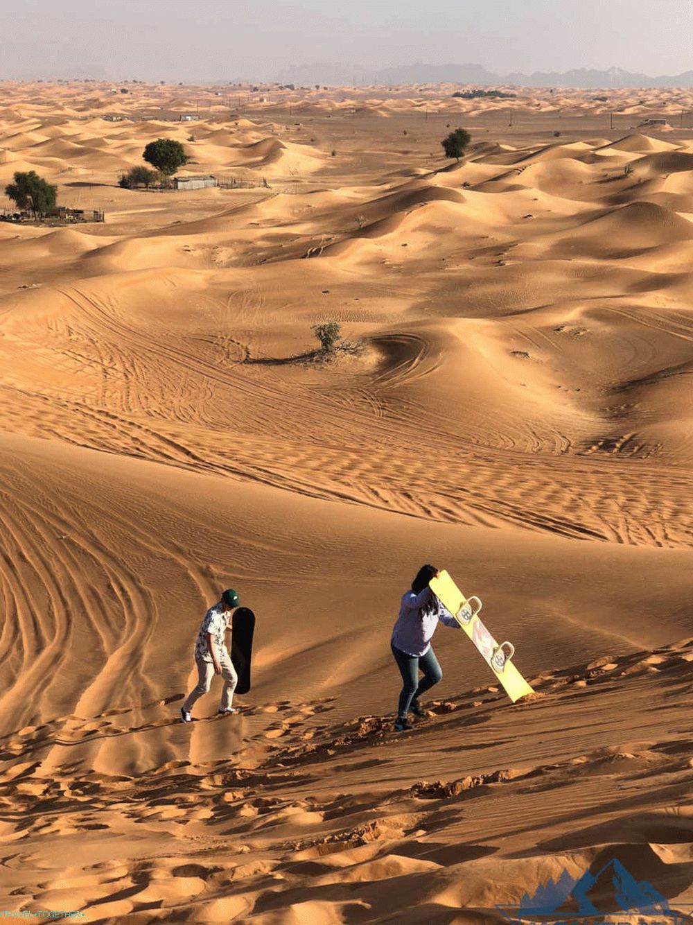 Safari v Dubaji