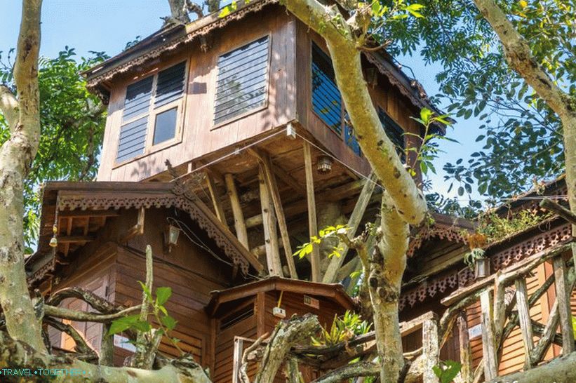 Treehouse Pai Treehouse Ubytování A Pohled World Travel Je