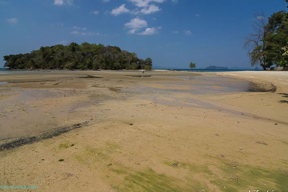 Při odlivu můžete jít na nejbližší ostrov