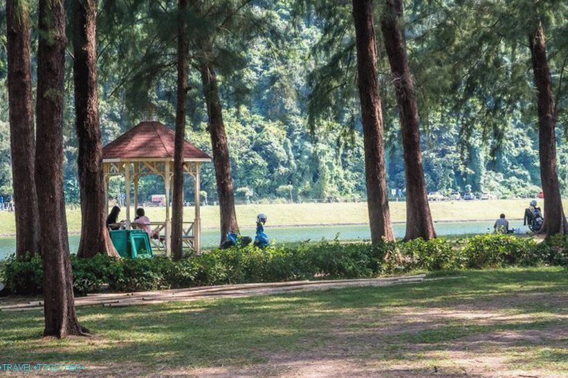 Nai, Harn, park, do, Phuket, blízký, Nai, Harn, pláž