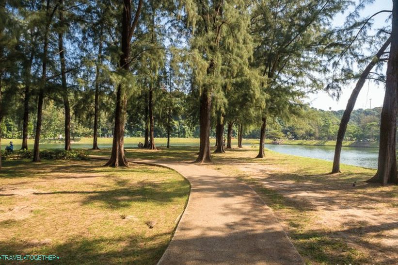 Nai, Harn, park, do, Phuket, blízký, Nai, Harn, pláž