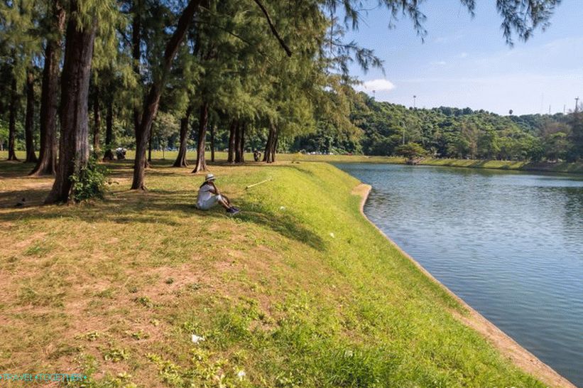 Nai, Harn, park, do, Phuket, blízký, Nai, Harn, pláž