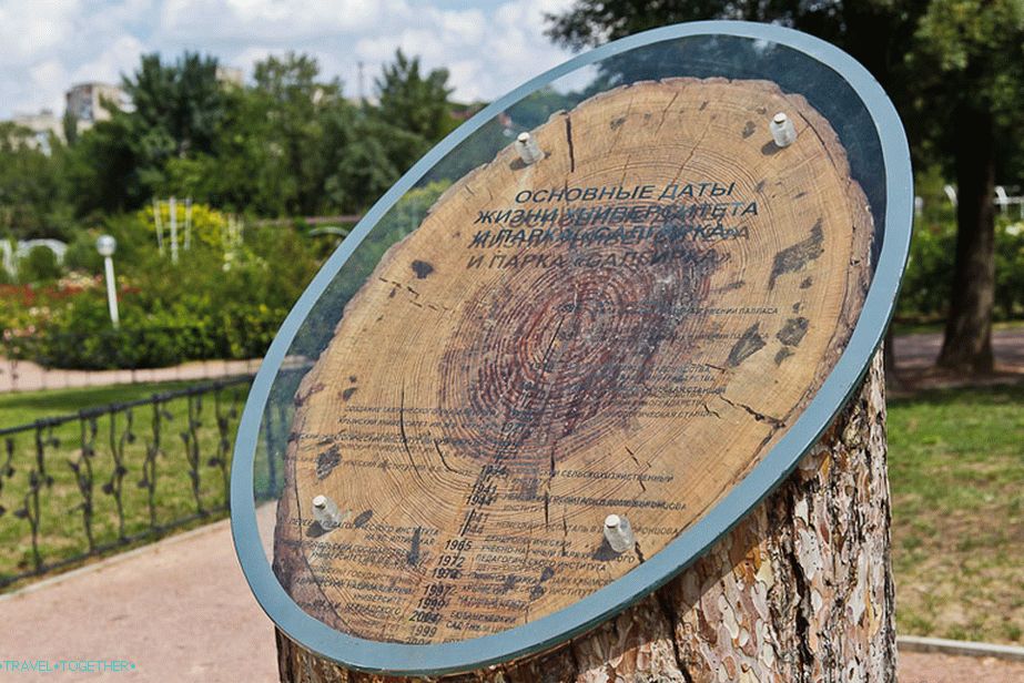Kruhy na stromě znamenají hlavní data Vorontsovského parku