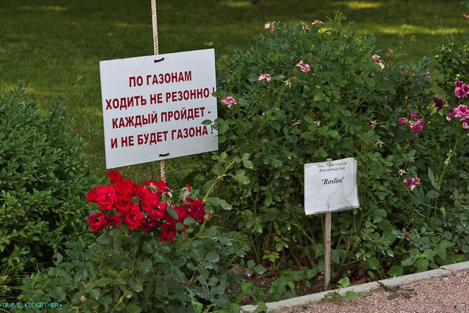 Legrační nápis na trávníku
