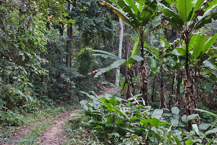 Dirt Road to Doi Suthep
