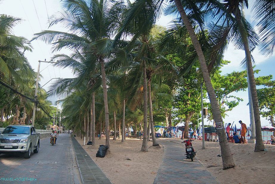 Palmová ulička podél pláže