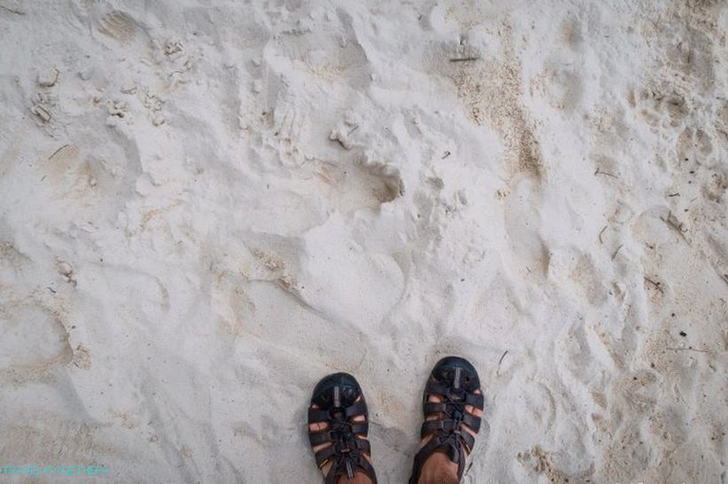 Beach, Haad, salát, (Haad, salát), -, při hledání, o, ticho, dále, ta, Phangan