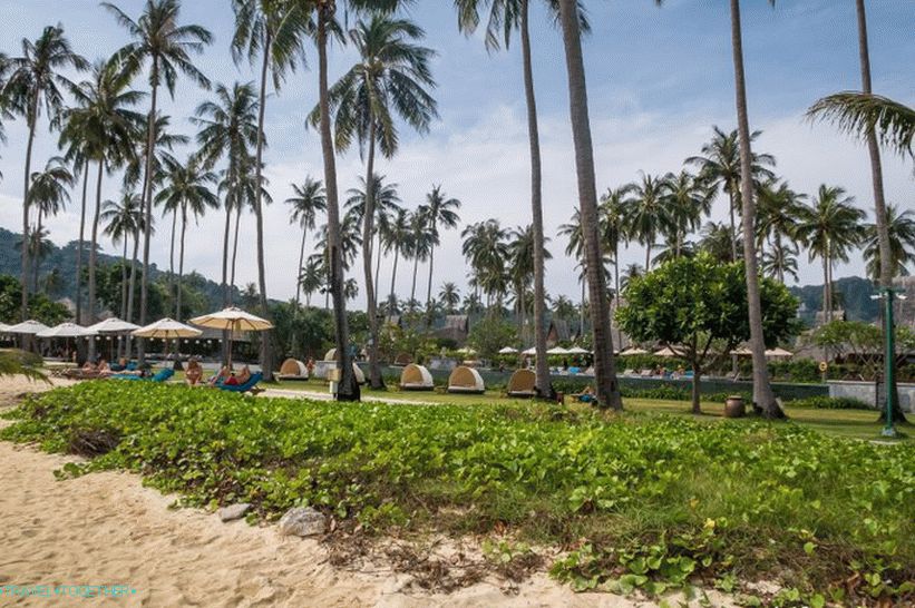 Lo Ba Kao Beach je nejlepší volbou pro dlouhou dovolenou na ostrově Phi Phi Don