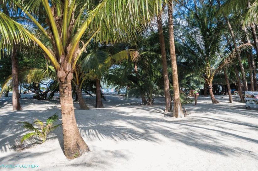 Pláž Malibu na ostrově Phangan je palmový háj s bílým pískem