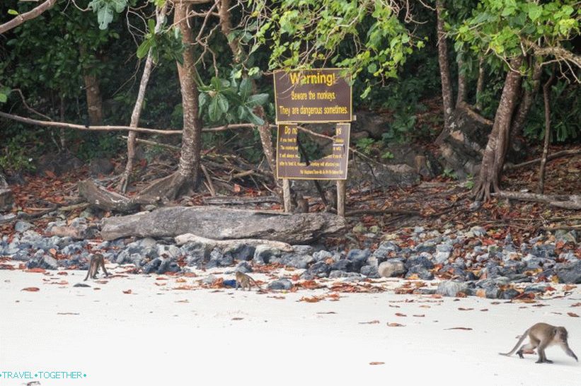 Monkey Beach Beach - Monkey Paradise na Phi Phi Don