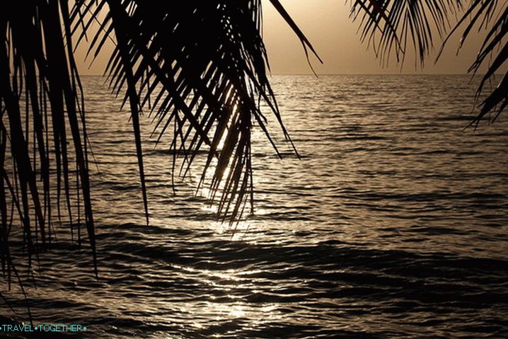 Maledivy. Kuromati Island.
