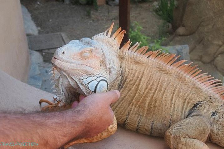 Dovolená pro děti, Aquaworld terárium na Krétě