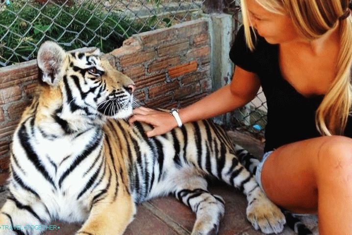 Zoo Phuket Phuket