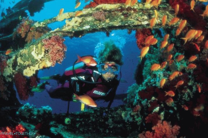Sharm el-Sheikh, potápění