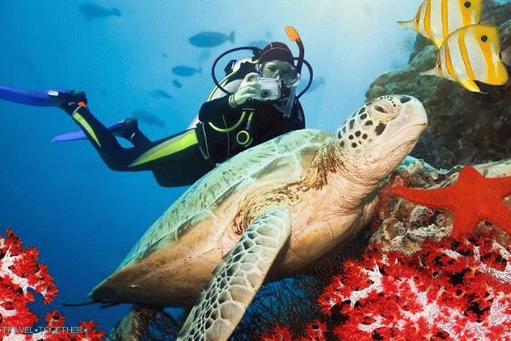 Počasí v Sharm el-Sheikh v říjnu - Sea World Sharm el-Sheikh