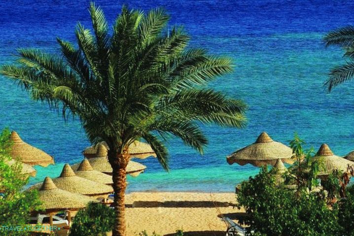 Sharm el-Sheikh, pobřeží