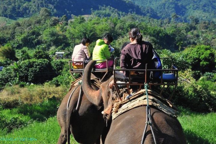 Elephant Trekking Weather in Koh Samui v říjnu