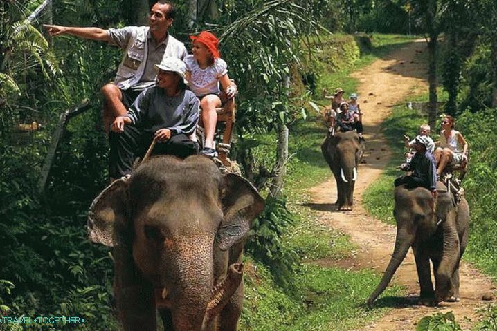 Samui, Elephant Trekking Samui, Elephant Trekking