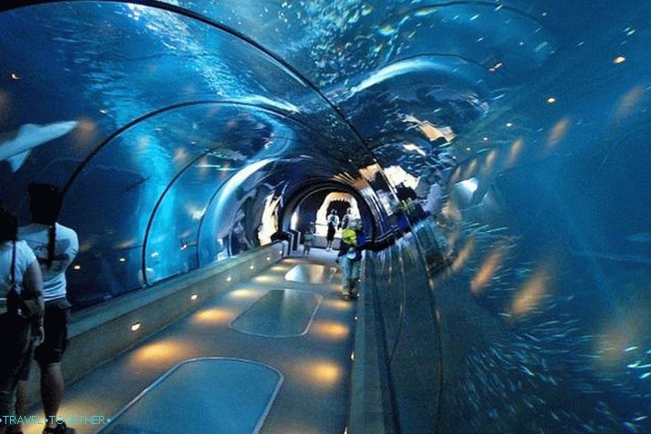 Antalya pro děti, Oceanarium v ​​Antalyi