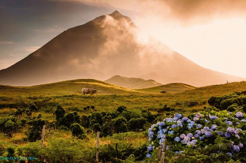 Pico sopka na Azorech - nejvyšší bod Portugalska