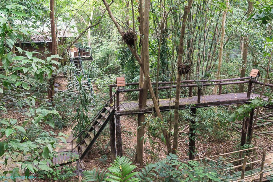 Přenocování v národním parku ve stromě - Treehouse Resort