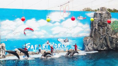 Zábava v Jomtien - Dolphin World Pattaya