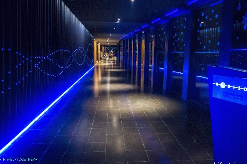 Osvětlená temná chodba vede do restaurace