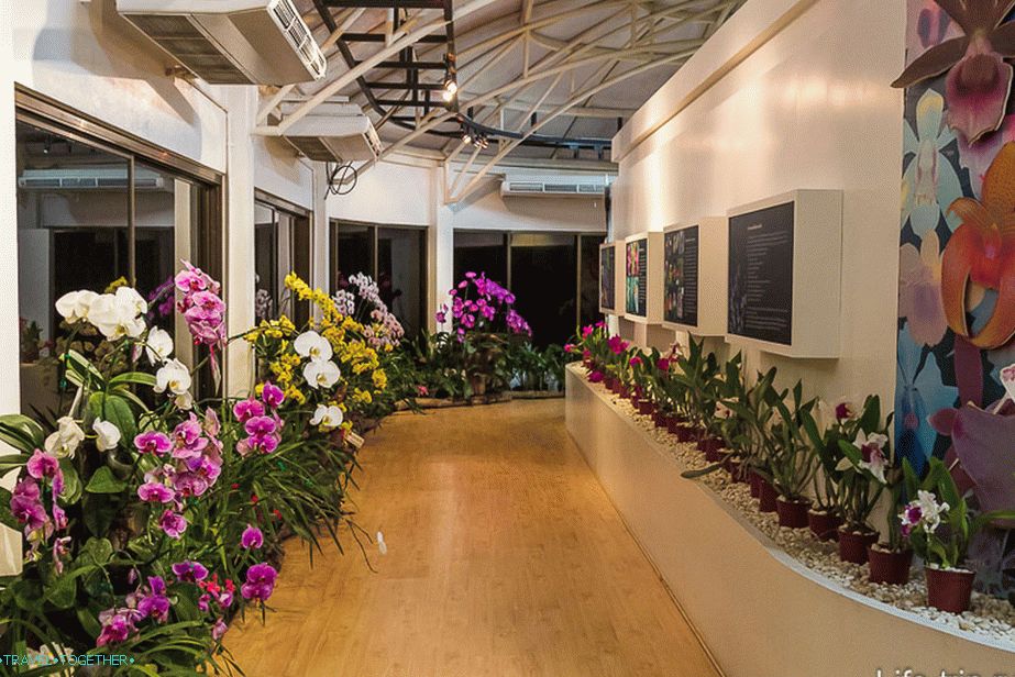 Pavilon s orchidejemi