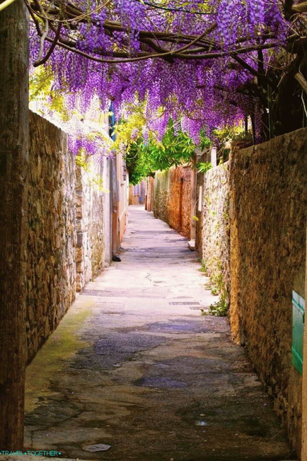 Kvetoucí ulice Saint-Tropez