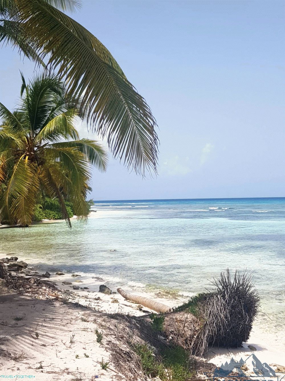 Beach ostrov saona Dominicana