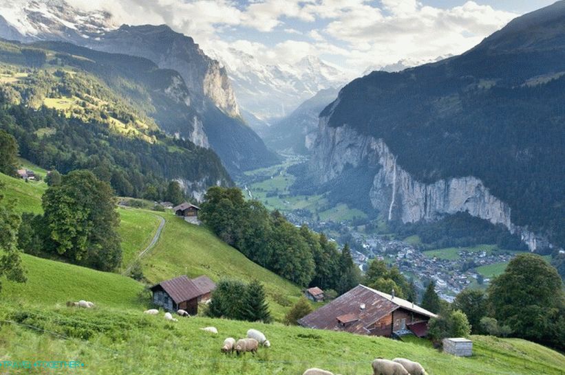 Švýcarská provincie