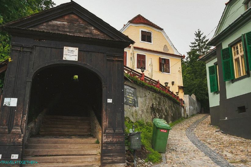 Žebřík vědců
