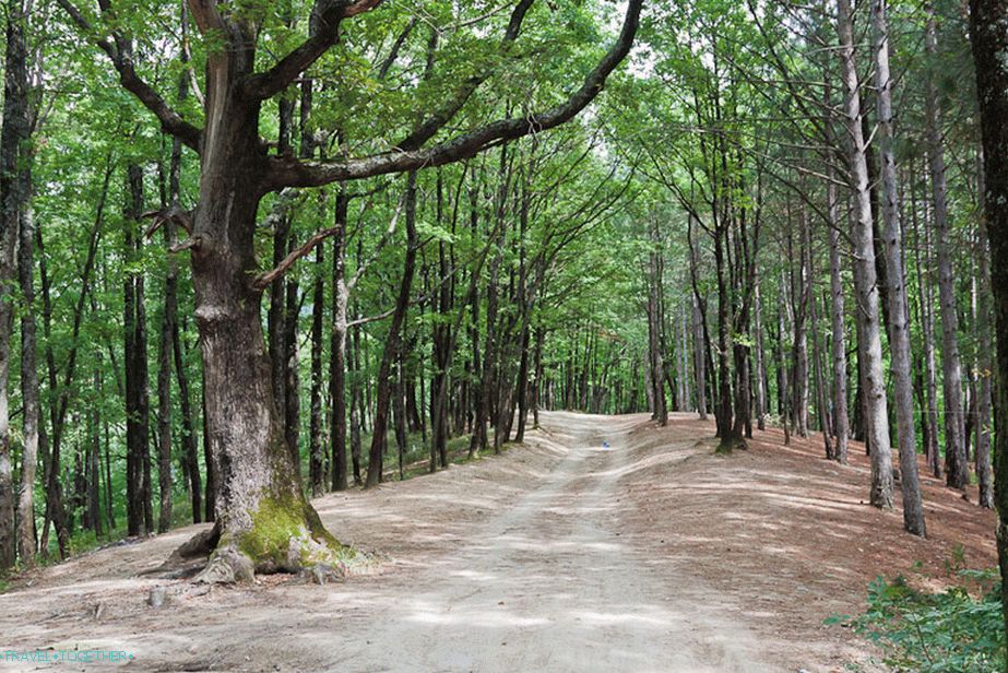 Cesta do Kiselevovy skály