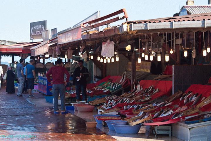 Rybí trh na pobřeží Marmarského moře. Zápach je hrozný.