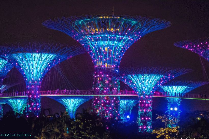 Avatar Tree Show v Singapuru