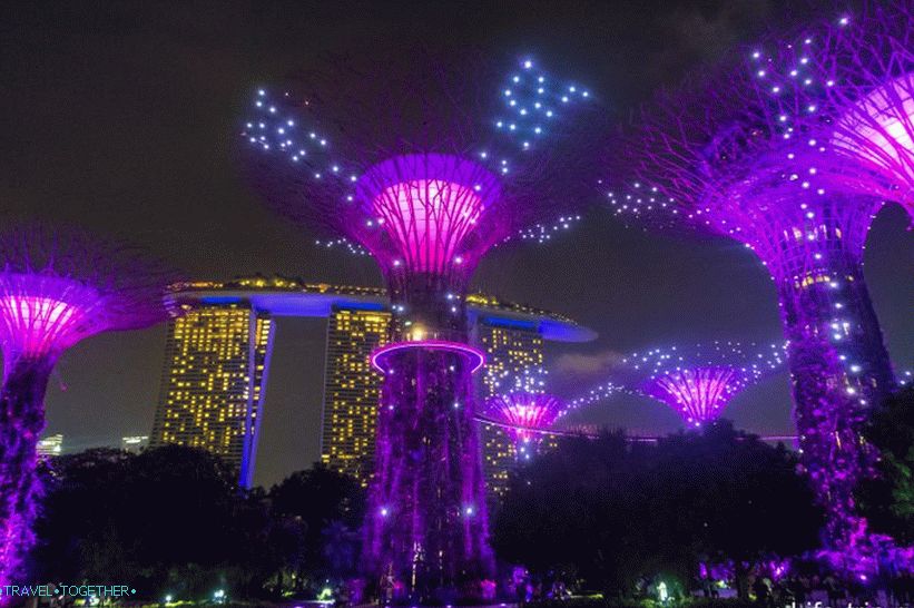 Světelná show se stromy z Avataru v Singapuru - musí vidět!