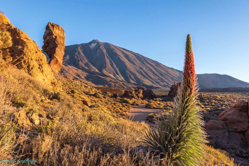 Takhinaste on Tenerife - květ sopky nebo věže šperků