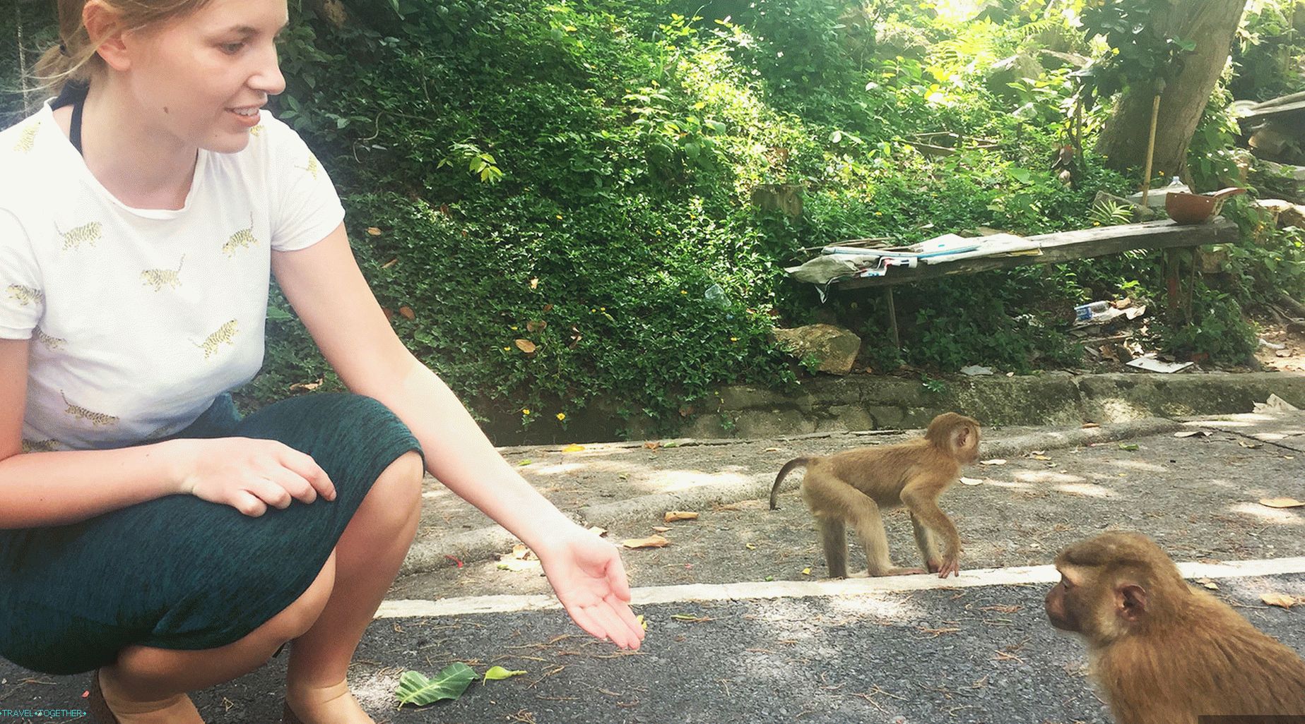 Výlet k opicím v Phuketu - Monkey hill