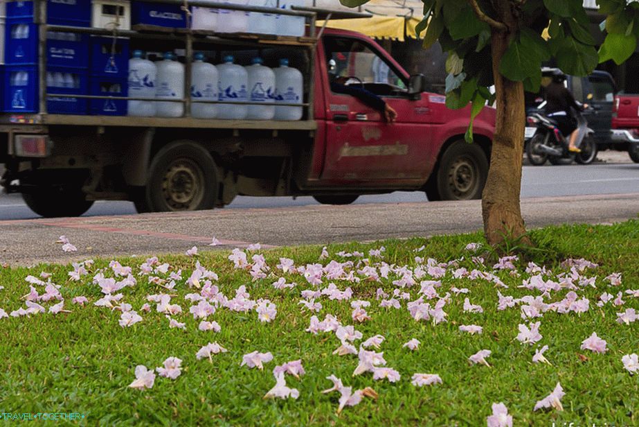 Procházka městem Chiang Mai