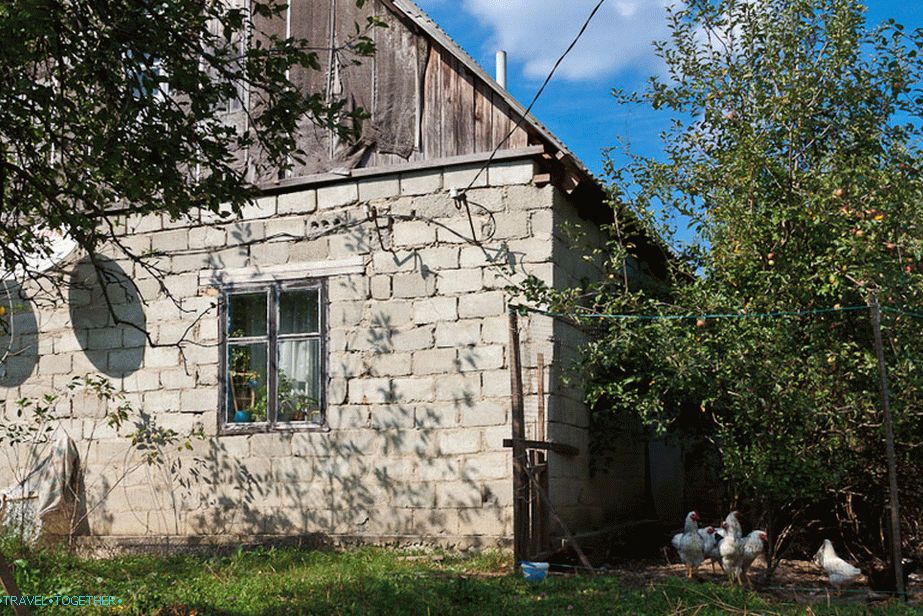 Yard and farm